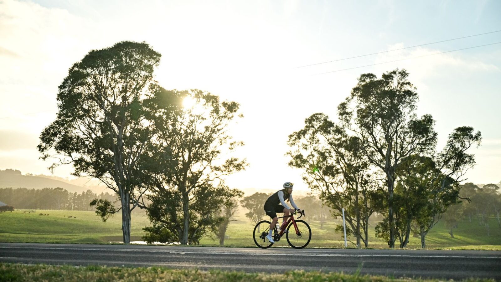 Classics Editorial (10)