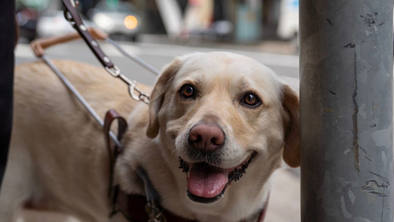 Classics Editorial (2)