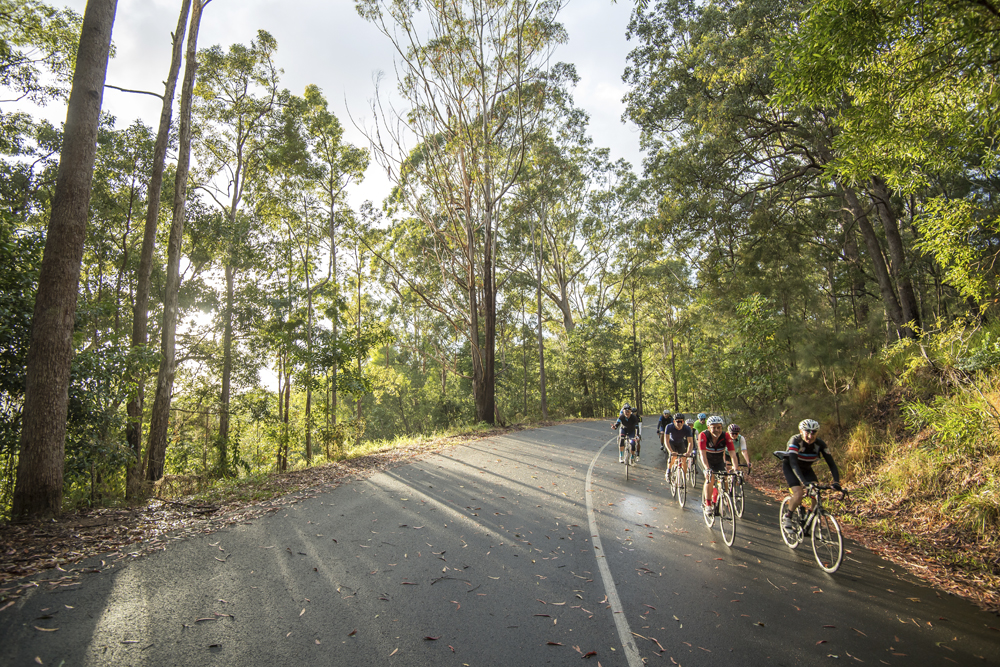 Noosa-Classic-1000px-185